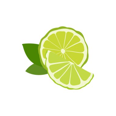 Gerekli yağ koleksiyonu için Bergamot Aromaterapi bitkileri, doğa dalı yaprakları.