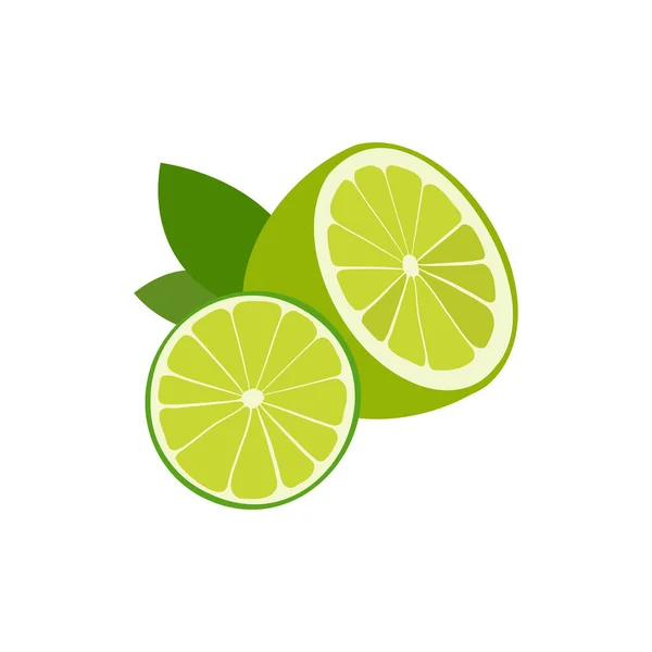 Temel Yağlar Için Limon Terapisi Otları Doğa Dalı Yaprakları — Stok Vektör