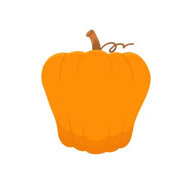 Çizgi balkabağı, düz vektör çizimi beyaz arkaplanda izole edildi.