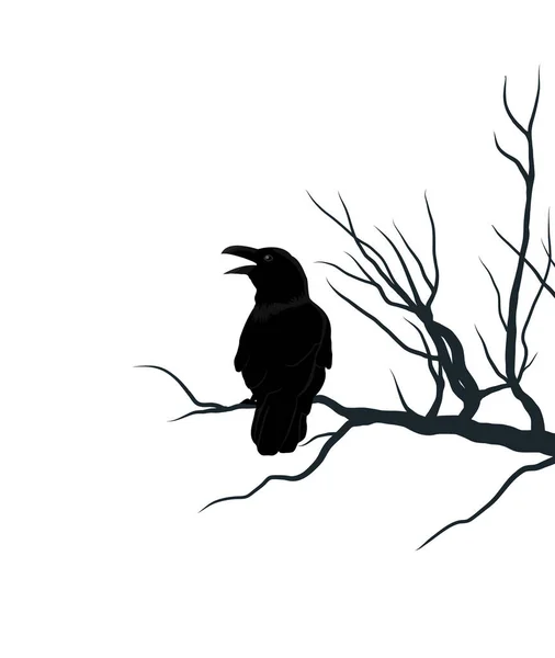 Black Crow Brunch Tree Silhouette Raven Element Halloween Vector Illustration — Stock Vector