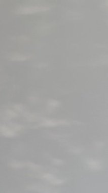 Duvardaki ağaçların gölgeleri. Güneş ışınları. Yüksek kaliteli FullHD görüntüler