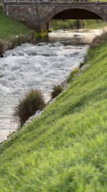 Kükreyen nehir, yeşil çimenler, doğa geçmişi. Yüksek kaliteli FullHD görüntüler