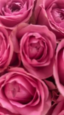 Pembe güller. Bir buket taze çiçek. Yüksek kaliteli FullHD görüntüler