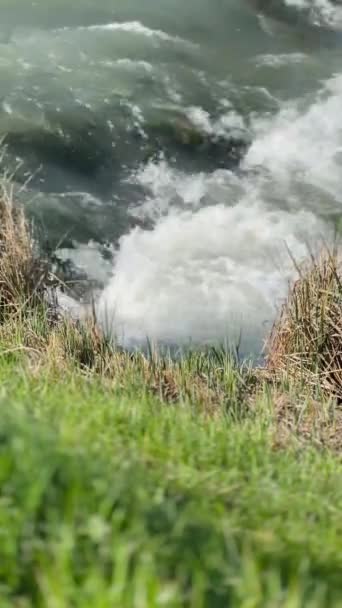 Kükreyen Nehir Yakın Çekim Doğa Gücü Yüksek Kaliteli Fullhd Görüntüler — Stok video