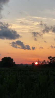 Kırsalda Idyllic Akşamları. Yüksek kalite 4k görüntü