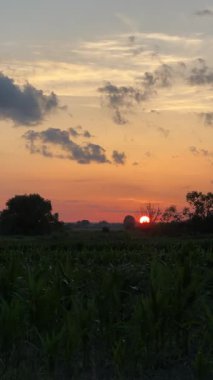 Sakin Bahçe Günbatımı. Yüksek kalite 4k görüntü