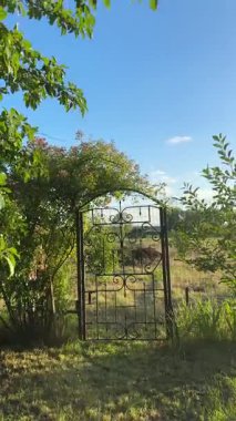 Büyülü Bahçe Kapısı. Yüksek kalite 4k görüntü