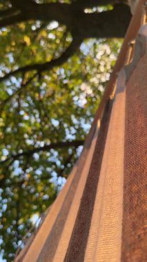 Hamaktaki güneş ışınları. Yüksek kalite 4k görüntü