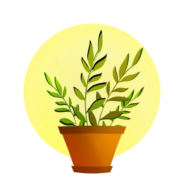 Plants Brown Pot — Stock Vector