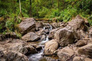 Bereketli, yeşil bir tropikal yağmur ormanında kayaların ve kayaların üzerinden akan bir derenin sakin manzarası - Hana, Maui, Hawaii