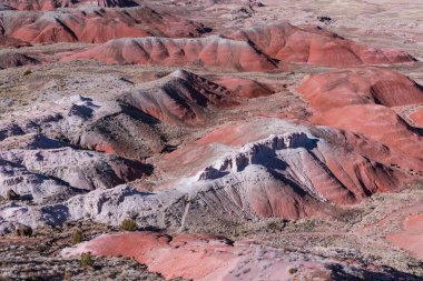 Painted Desert, Petrified Forest National Park, Arizona 'da canlı ve renkli çöl arazileri manzarası.