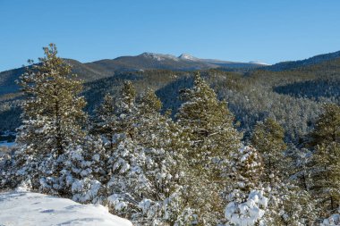 New Mexico 'daki Sangre de Cristo Dağları' ndaki yüksek yol boyunca karla kaplı orman ve dağların manzarası.