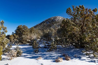 Santa Fe, New Mexico 'da kışın karla kaplı ağaçlar ve güneş dağının manzarası