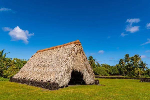 Kahanu Garden, Hana, Maui 'deki geleneksel Hawaii sazdan çatı ve palmiye ağaçları.