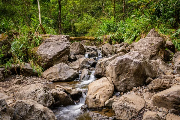 Bereketli, yeşil bir tropikal yağmur ormanında kayaların ve kayaların üzerinden akan bir derenin sakin manzarası - Hana, Maui, Hawaii