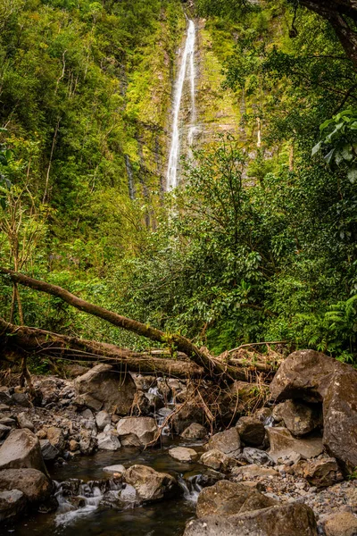 Tranquil landscape of waterfall and stream in a lush, green, tropical rainforest - Waimoku Falls, Maui