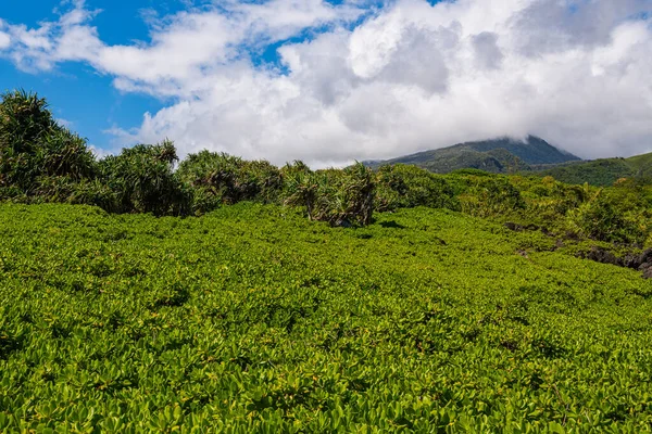 Exuberante Follaje Tropical Verde Cubre Paisaje Debajo Pico Montaña Nubes Imagen De Stock
