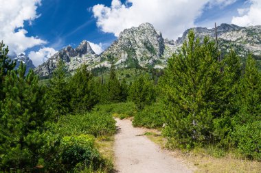 Grand Teton Ulusal Parkı, Wyoming 'deki yüksek dağ zirvelerine doğru yol alıyoruz.