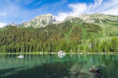 Grand Teton Ulusal Parkı, Wyoming 'deki String Gölü' nün berrak ve sakin sularının üzerindeki dağların ve ormanın huzurlu manzarası.