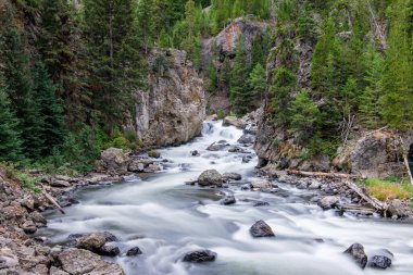 Yellowstone Ulusal Parkı 'ndaki Firehole River Kanyonu' ndaki ladin ve köknar ağaçlarıyla dolu bir kanyondan akan şelale ve nehrin uzun süre maruz kalması.