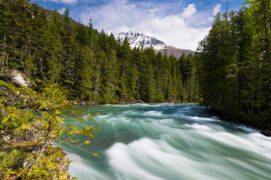 McDonald Creek 'in Montana' daki Buzul Ulusal Parkı 'ndaki karlı dağ zirvesinin altından sedir ormanlarına aktığını gösteren uzun bir görüntü.