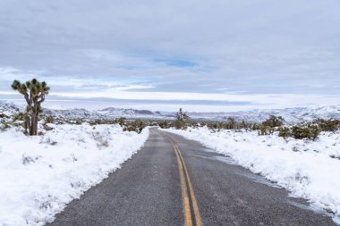 Kaliforniya 'daki Joshua Tree Ulusal Parkı' nda kışın karla kaplı çöl manzarası boyunca yol kıvrımlı.