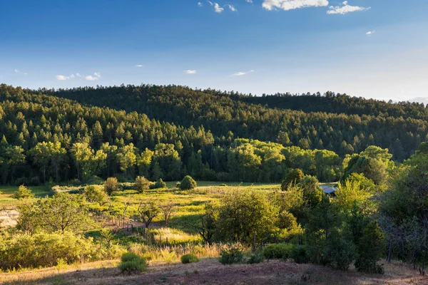 Rural landscape of a valley of green fields, orchards, and farm surrounded by forested mountains in New Mexico