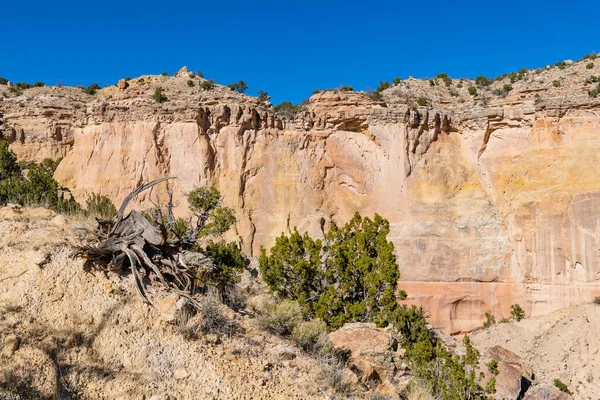 Hayalet Çiftliği, New Mexico 'daki renkli uçurumların çöl manzarası.