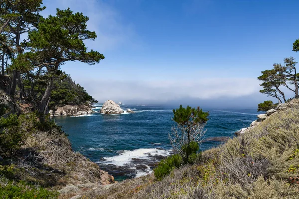 Eine Bucht Point Lobos State Preserve Mit Einer Nebelbank Der — Stockfoto