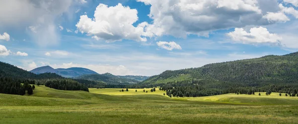 Valles Caldera Ulusal Koruma Alanı, New Mexico 'da geniş bir dağ, çayır ve dramatik gökyüzü manzarası.