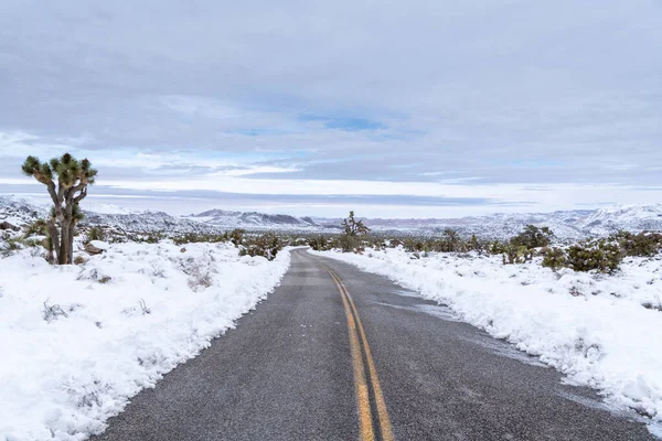 Krzywe Drogi Przez Zimowy Krajobraz Pokrytej Śniegiem Pustyni Parku Narodowym — Zdjęcie stockowe