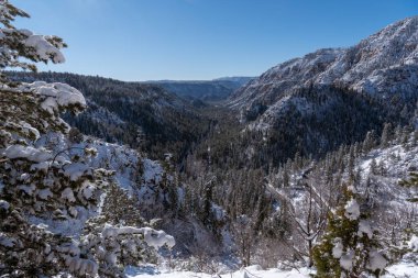 Sedona, Arizona yakınlarındaki Oak Creek Kanyonu 'ndaki karla kaplı ağaçların ve dağların manzarası.