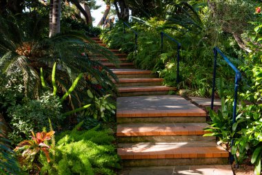Bereketli yeşil yapraklar arasında kıvrımlı merdiven ve patikalar tropikal bir bahçede refahın temasını betimliyor.