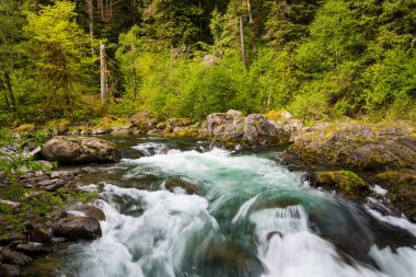Sol Duc Nehri 'nin temiz suları Washington Olimpiyat Ulusal Parkı' ndaki kayaların üzerinden akıyor.