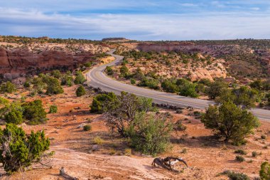 Utah, Canyonlands Ulusal Parkı 'ndaki renkli çöl manzarasında yol kıvrımlı.