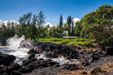 Hawaii, Maui 'de tropikal bitki örtüsünde geçen ve volkanik kaya oluşumlarına çarpan tropik sahil manzarası.