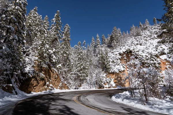 Oak Creek Kanyonu, Sedona, Arizona 'daki karla kaplı ağaçların arasından otoyol kıvrımlı.