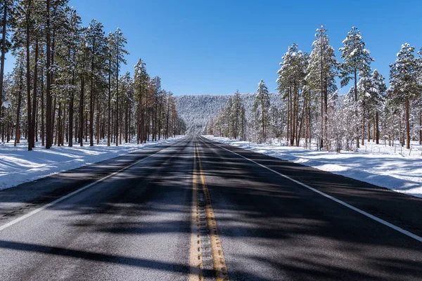 Straight highway through a forest of snow-covered ponderosa pines in northern Arizona