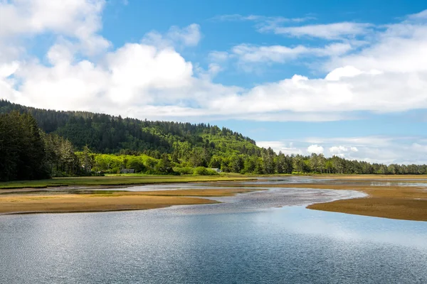 Mud flats and water below forest-covered green hills along the coast near Whalen Island, Oregon