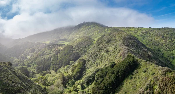 カリフォルニア州ビッグサーのリトル バレーの上の緑豊かな植生に覆われた霧の谷と山々 — ストック写真