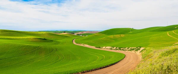 Een Onverharde Weg Kronkelt Door Een Prachtig Landschap Van Groene — Stockfoto