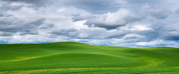 Весенняя Сцена Идиллических Холмов Покрытых Зеленой Травой Драматическим Небом — стоковое фото
