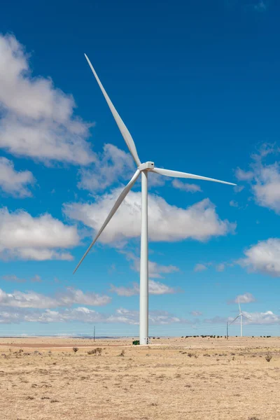 Vertical view of wind turbine generating green energy in a wine farm in New Mexico