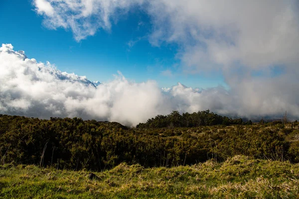 澄んだ嵐とマウイ島のアップロードで霧と劇的な空の下で草の牧草地と丘 — ストック写真