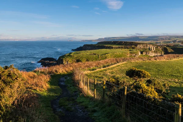 Causeway Coast Way hiking trail curves along headlands through green fields above the sea in Northern Ireland