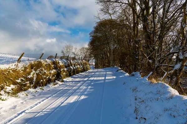 Escena Invernal Camino Rural Cubierto Nieve Bajo Cielo Tormentoso Irlanda Imagen De Stock