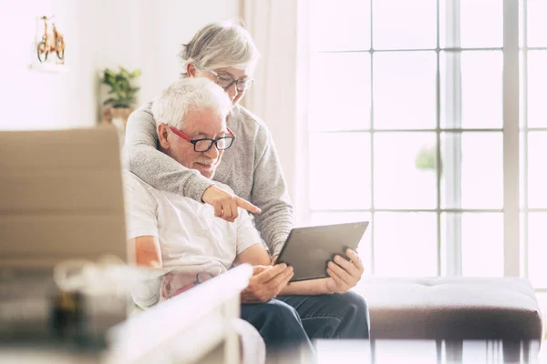 stock image couple of seniors smiling and looking at the tablet - woman hogging at man with love on the sofa - indoor - showing 