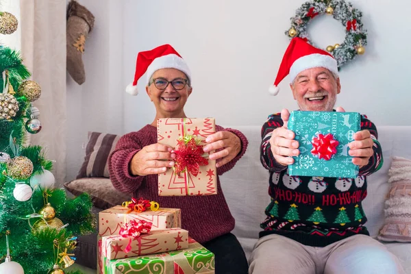 two mature people or seniors at home sitting on the sofa the Christmas day opening and wrapping their presents or gifts together - cheerful and smiling people having fun