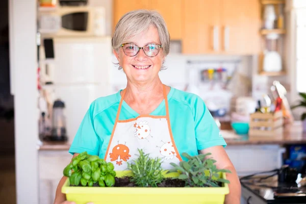 senior woman planting a plant at home indoor - woman retired and mature with glasses outdoor checking her product or her plants - caucasian woman