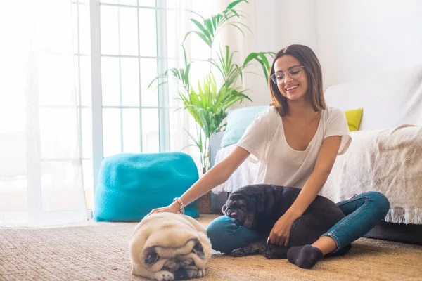 Portrait of beautiful woman in eyeglasses having fun with her pets pugs dogs sitting on floor in the living room of her house. Cheerful woman spending leisure time with her two cute pets dog at home